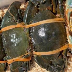 ylΎYzhE}Kj̃JWPW 2t_ECY   _yzsnFzy1499174z