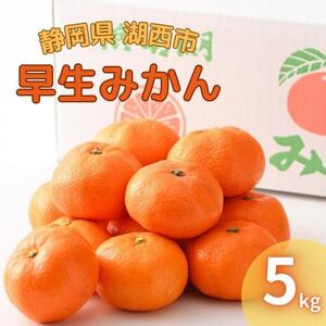 y2025N11Jnzl΂́u݂v5kg_ʕEt[c ݂  ~J _y1537440z