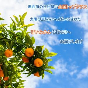 [訳あり][2026年1月初旬頃より順次発送予定]青島みかん 約10kgサイズミックス_果物・フルーツ みかん ミカン 蜜柑_