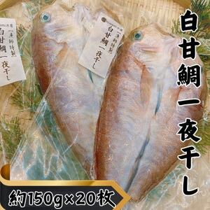 yBYzÑ̈銱@150g×20_ECY   _yzsnFzy1587743z