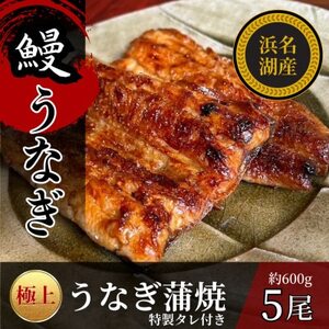浜名湖産うなぎの蒲焼き　1尾あたり120～140g×5パック_魚介・海産物 うなぎ  ウナギ 鰻_【配送不可地域：離島】【1588396】