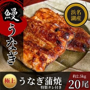 浜名湖産うなぎの蒲焼き　1尾あたり120～140g×20パック_魚介・海産物 うなぎ  ウナギ 鰻_【配送不可地域：離島】【1588398】