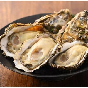 lΎY yuvہvނg 500g×2 `Ṽuhyuvہv` MpyzsnFzy1691978z