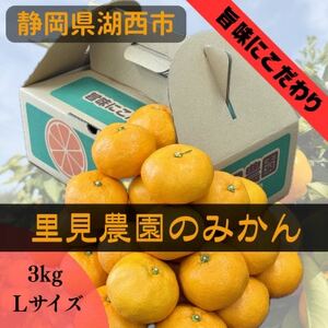 y|ɂz_݂̂ LTCY 3kgy1693596z