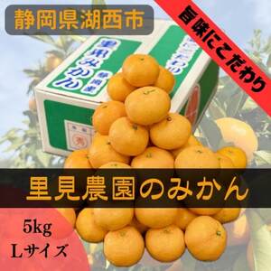 y|ɂz_݂̂ LTCY 5kgy1693880z