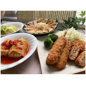 [湖西ポーク使用]冷凍餃子・冷凍串カツ・冷凍ロールキャベツ・冷凍ミニメンチカツ 絶品4点セット[配送不可地域:離島]