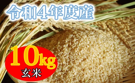 令和4年産新米 コシヒカリ 10kg 玄米