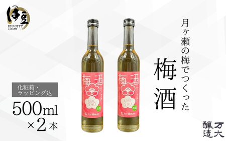伊豆の月ヶ瀬で人気の梅シロップが今度はお酒になりました! 伊豆月ヶ瀬の梅でつくった梅酒2本セット