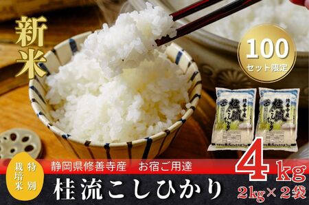 ( 数量限定 100 セット) 新米 静岡 伊豆 修善寺産 桂流 こしひかり 4kg ( 2kg × 2袋 )[ コシヒカリ 白米 お米 精米 国産 米 ごはん 特別栽培米 お取り寄せ 静岡県 伊豆市] 009-005