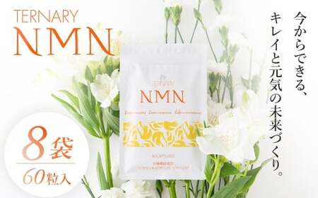 ターナリーNMN（60粒入パウチ）×8袋　【エイジングケア 高純度 健康維持 毎日習慣 国内工場 緑黄色野菜 ビタミンA ビタミンC ビタミンE NAD 美容 健康 カプセル 静岡 伊豆　RNA NMN nmn サプリ サプリメント 国内製造 高純度 耐酸性 カプセル タブレット 健康 サーチュイン】