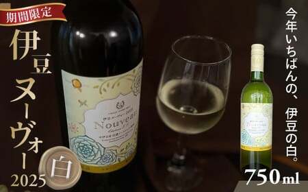 [中伊豆ワイナリー]伊豆ヌーヴォー2025 白 750ml|白ワイン