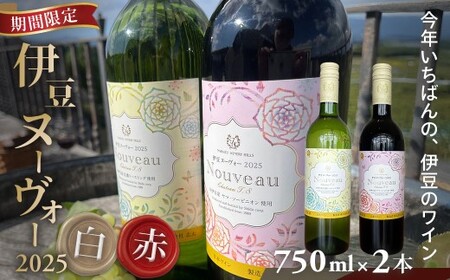 [中伊豆ワイナリー]伊豆ヌーヴォー2025 紅白セット(750ml×2本)|白ワイン 赤ワイン