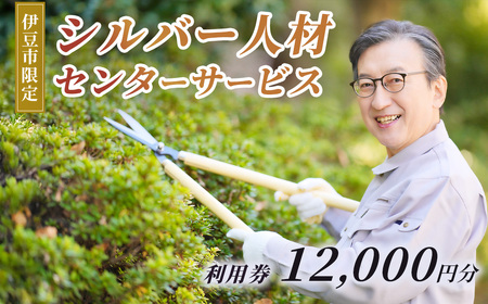 �ɓ��s�V���o�[�l�ރZ���^�[�T�[�r�X���p��12,000�~�� | �������ؙ��� ����|�� �`�P�b�g