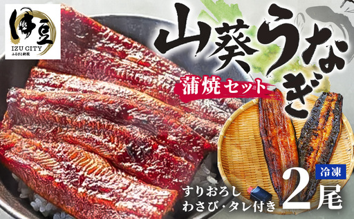 山葵うなぎ 蒲焼2尾セット(わさび・タレ付き)| わさび うなぎ ウナギ 鰻 蒲焼 でしこ ブランド 浜名湖 高級 湧き水 静岡 伊豆