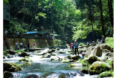 渓流釣り 検索結果 ふるさと納税サイト ふるなび