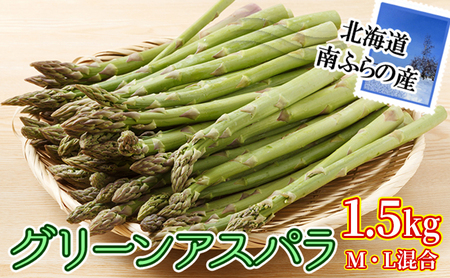 2025年先行予約 南ふらの産 グリーン アスパラ 1.5kg (M・L混合) 北海道 南富良野町 アスパラ アスパラガス 野菜 ふらの 2025年発送 先行予約