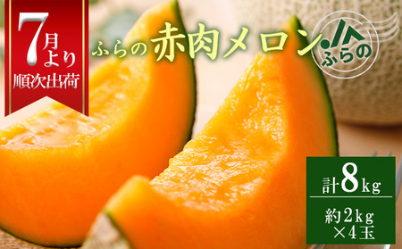 ◆JAふらの◆厳選!ふらの赤肉メロン2kg×4玉 メロン めろん 富良野メロン 果物 くだもの フルーツ 富良野 デザート 北海道 贈り物 ギフト