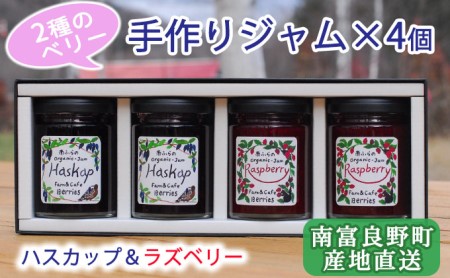 2種のベリー【ハスカップ＆ラズベリー】手作りジャムセット 各2個 北海道 南富良野町 ジャム ベリー ハスカップ ラズベリー ソース カシス てんさい糖 無農薬 ポリフェノール 鉄分 ビタミン 