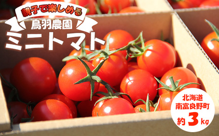 あま〜い! ミニトマト 約3kg 北海道 南富良野町 鳥羽農園 トマト とまと ミニトマト 野菜 大容量 甘っこ 甘い