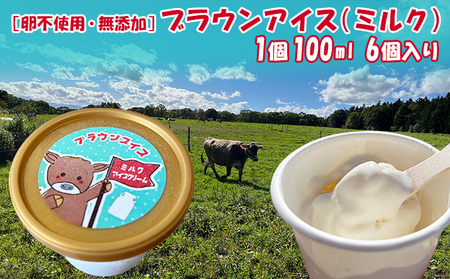 [卵不使用・無添加]ブラウンアイス(100ml)6個セット 北海道 南富良野町 アイス アイスクリーム デザート 無添加 バニラアイス バニラ