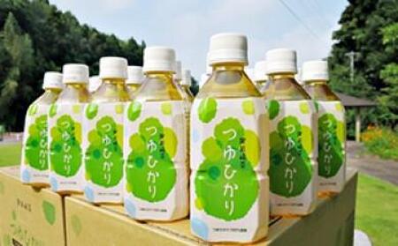 「御前崎つゆひかり」ペットボトル 350ml×24本×2ケース(計48本)|緑茶 お茶 日本茶 ドリンク 飲み物 まとめ買い 災害 備蓄 ストック 常温 静岡