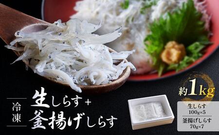 冷凍生しらす＋釜揚げしらすセット 約1kg（生しらす100g × 5・釜揚げしらす70g × 7）静岡県御前崎産 しらす丼  小分け 個包装 便利 大容量 徳用  海鮮丼 どんぶり 刺身 おつまみ おかず 惣菜 晩ごはん