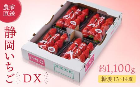 [2026年度 先行予約] 農家直送!静岡いちご DX 糖度13〜14度 1100g 程度(270〜280g×4パック)甘くて地元大人気!やみつきリピーター多数 御前崎産 数量限定