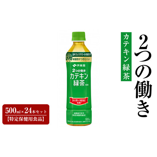 PET 2つの働きカテキン緑茶 500ml×24本セット[特定保健用食品]