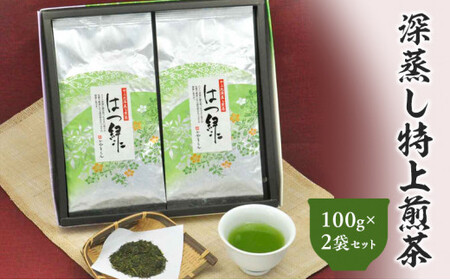 深蒸し特上煎茶 はつ緑 100g×2袋 セット 計200g お茶 茶 深蒸し茶 煎茶 ギフト プレゼント 八十八夜摘み 静岡県産 静岡県 菊川市