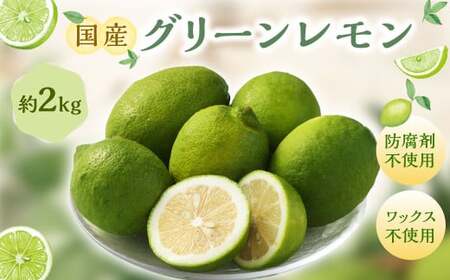 国産グリーンレモン 2kg[2026年10月上旬-11月下旬まで順次発送予定] |フルーツ 果物 グリーンレモン レモン 柑橘 れもん 檸檬 国産 静岡県 菊川市
