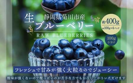 生ブルーベリー 計約400g(約100g×4パック)[2026年4月下旬-6月上旬発送予定]| ブルーベリー 果物 フルーツ 静岡県 菊川市