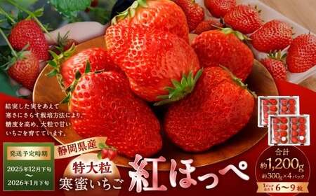  gق 嗱 4pbNi300g×4pbNj y2025N12{-2026N1{\zyzsFkCEEz b  gق ʕ  t[c es