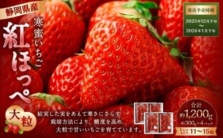  gق 嗱 4pbNi300g×4pbNjy2025N12{-2026N1{\z yzsFkCEEz b  gق ʕ  t[c es