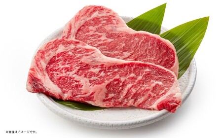 静岡県産 牛ロースステーキ 約250g×2パック(計約500g) 牛肉 肉 ロースステーキ ロース ステーキ 焼肉 BBQ バーベキュー 国産牛肉 静岡県 菊川市