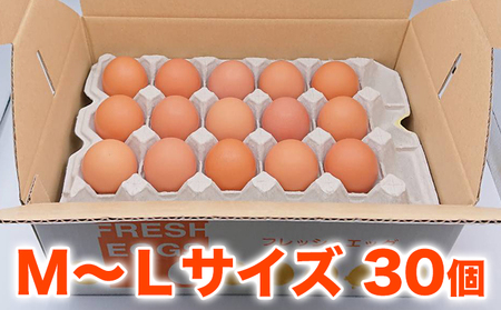 もりかわの活力卵 30個（M～Lサイズ）【配送不可：北海道・沖縄・離島】