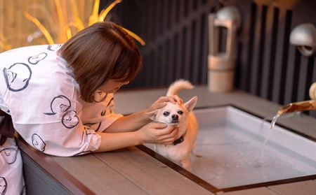 No.230320-01 愛犬と寛ぐ大人の隠れ宿　八の坊　全客室対応　宿泊補助券（80,000円分）