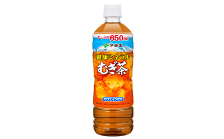 131-44　健康ミネラルむぎ茶PET650ml×24本　2ケース