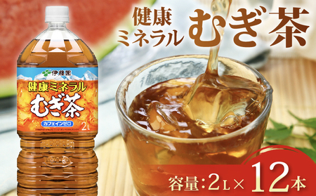 健康ミネラルむぎ茶 PET2L×6本 2ケース 麦茶 むぎ茶 むぎ茶 むぎ茶 むぎ茶 むぎ茶 むぎ茶 ふるなび 伊藤園