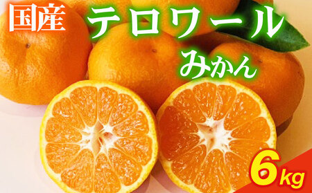 [期間限定発送]みかん テロワール みかん 6kg 牧之原市