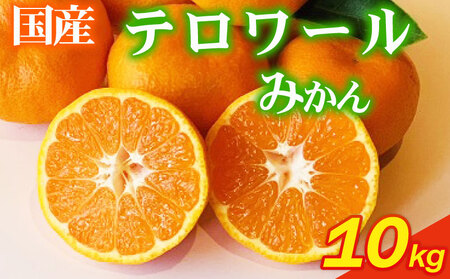 ys\z ʎ ZˁI e[݂ 10 (12`P)