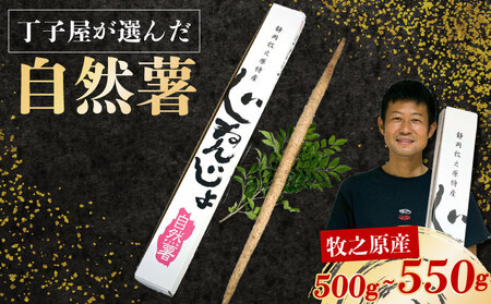 [R7年12月上旬からの発送] 丁子屋が選んだ 自然薯 台地のご馳走 500g〜550g