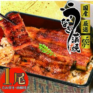国産 うなぎ 一尾 約 140g たれ 山椒 付き 鰻 うな雄の鰻蒲焼
