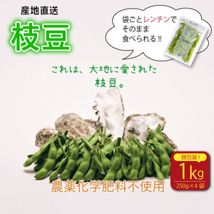 [そのままレンチン!]枝豆 1kg 農薬不使用 個包装 250g × 4袋 野菜 えだまめ おつまみ 動物性肥料不使用 edama