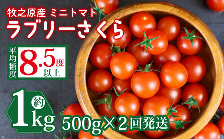 トマト 計1kg ミニトマト