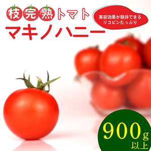 トマト 中玉 900g 以上 マキノハニー 枝完熟 トマト トマトップ 高 リコピン うまみ 甘い 新鮮 野菜 産地直送 やさい ビタミン 静岡県 牧之原市