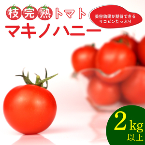 トマト 中玉 2kg 以上 マキノハニー 枝完熟 トマト トマトップ 高 リコピン うまみ 甘い 新鮮 野菜 産地直送 やさい ビタミン 静岡県 牧之原市