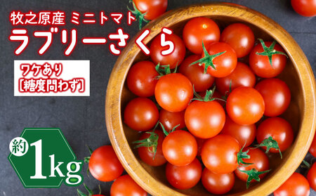 訳あり ミニ トマト フルーツ トマト ラブリーさくら うまたま  計 1kg 国産 野菜 フルーツ 甘い 静岡県 牧之原市 山本農園 とまと とまと とまと とまと とまと とまと とまと