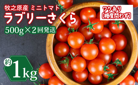訳あり ミニ トマト フルーツ トマト ラブリーさくら うまたま 予約 受付 500g × 2回発送 計 1kg 山本農園 ふるなび とまと とまと とまと とまと とまと とまと