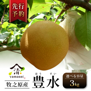 梨 豊水 3kg 予約受付 8月中旬より順次発送 フルーツ なし ほうすい 果物 安心 おいしい 国産 山清 yamasei 静岡県 牧之原市