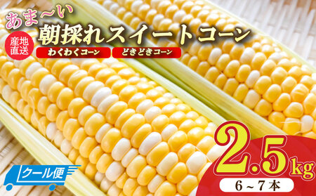 【先行予約】 とうもろこし 2.5㎏  とうもろこし ぐりぱ